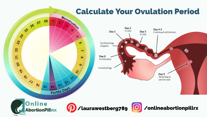 Menstrual Chart Calculator