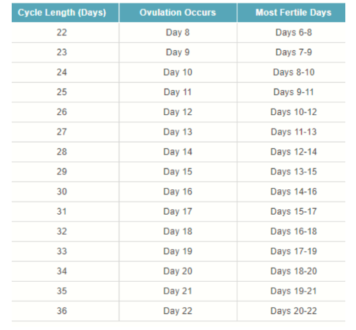 How-Calculate-Your-Ovulation-Time-Using-Your-Menstrual-Cycle