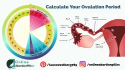 How-to-Calculate-Your-Ovulation-Time-Using-Your-Menstrual-Cycle