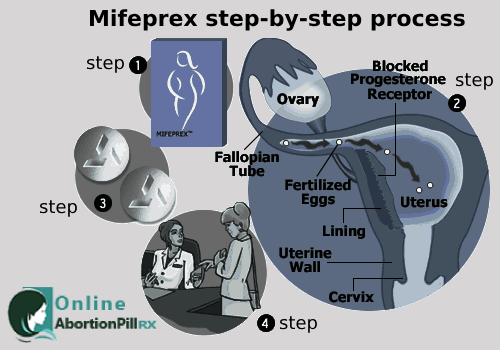 how mifeprex pill works